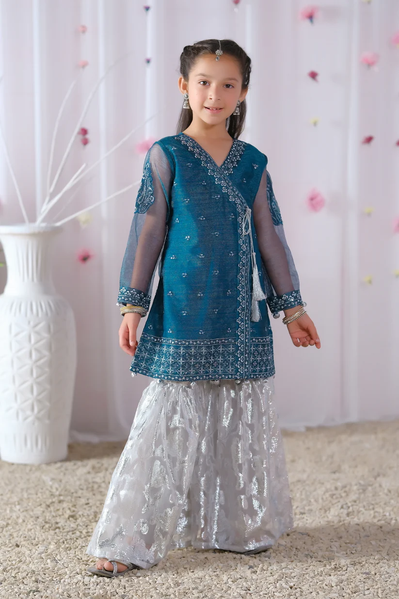 Nilofer 2pcs - Embroidered