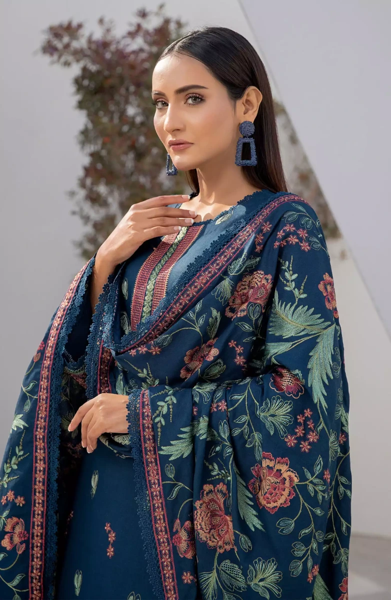 Thread Weaves Dhanak Embroidered Collection - D 23101