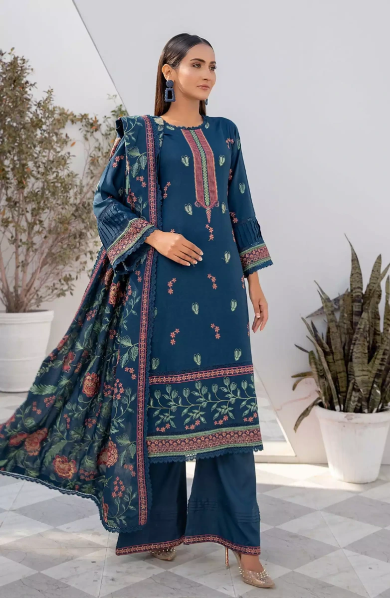 Thread Weaves Dhanak Embroidered Collection - D 23101