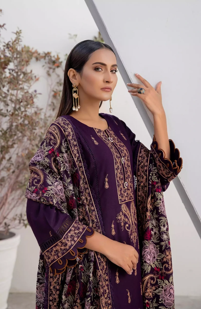 Thread Weaves Dhanak Embroidered Collection - D 23102