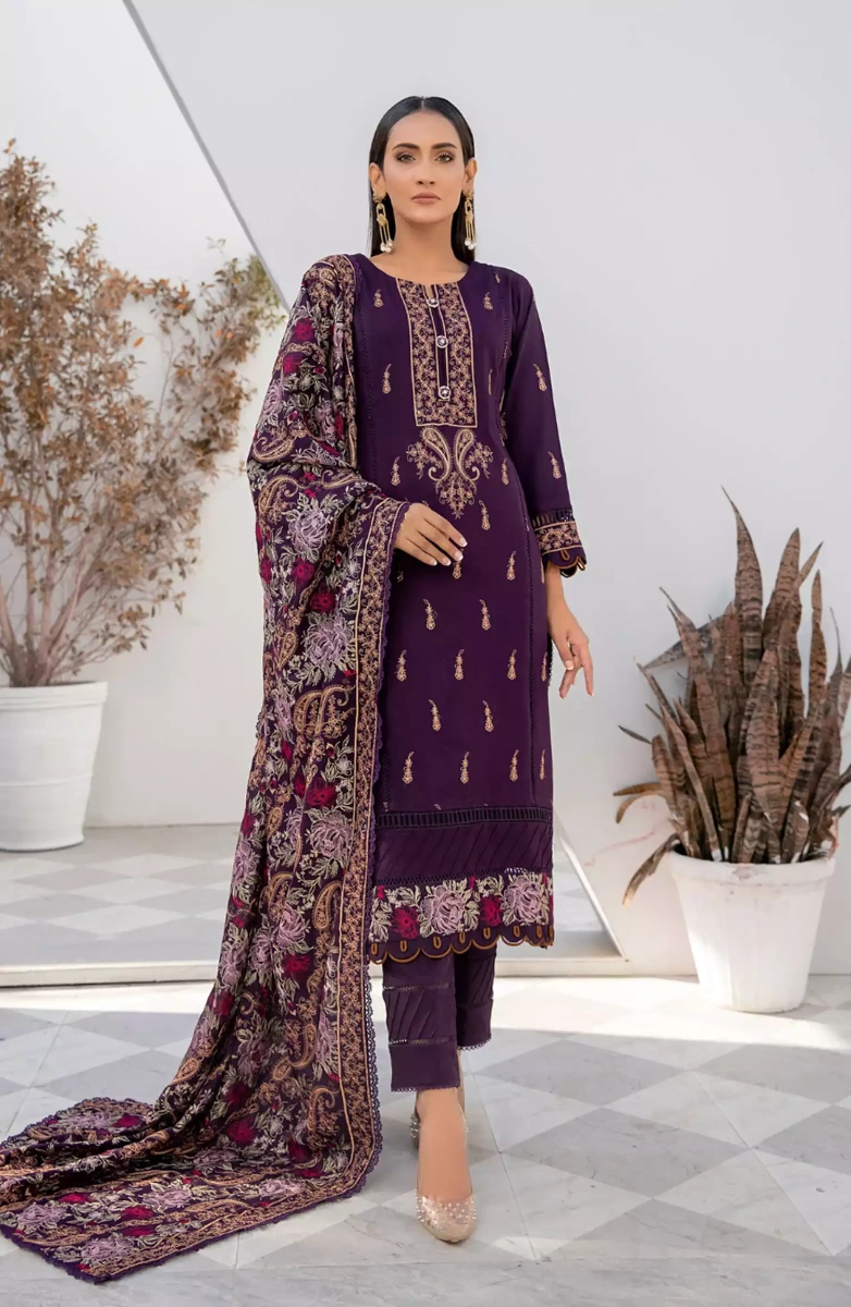 Thread Weaves Dhanak Embroidered Collection - D 23102