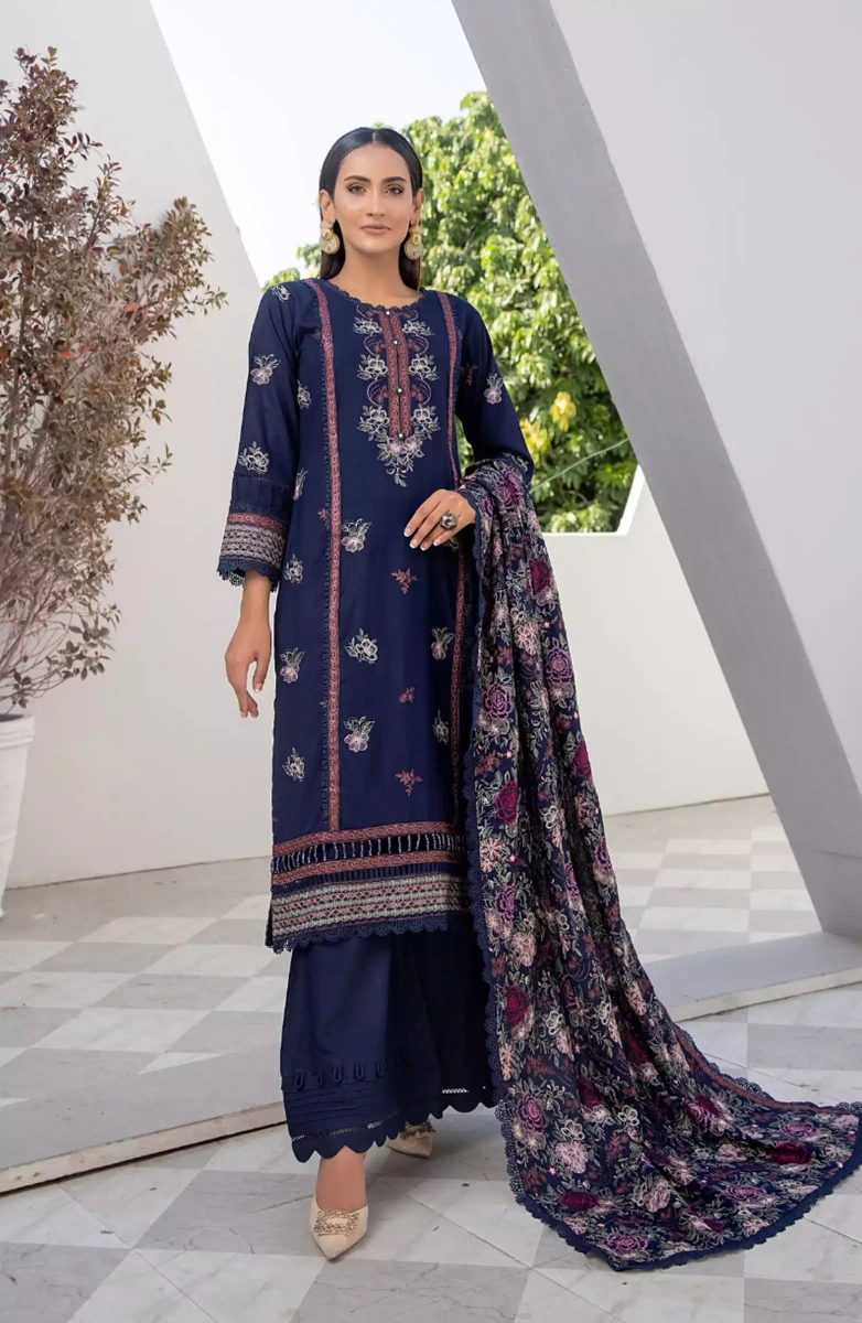 Thread Weaves Dhanak Embroidered Collection - D 23103