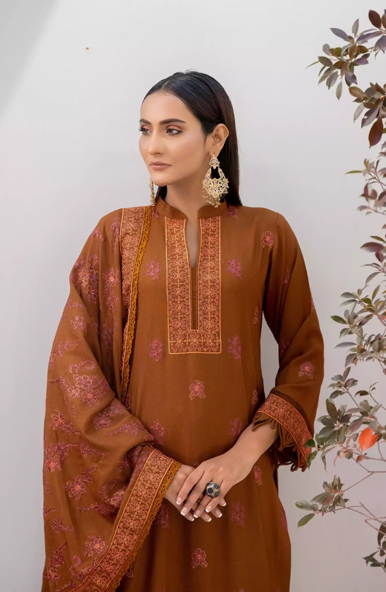 Thread Weaves Dhanak Embroidered Collection - D 23104