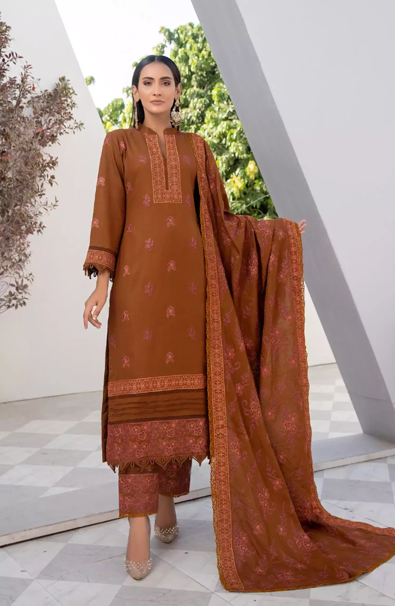 Thread Weaves Dhanak Embroidered Collection - D 23104