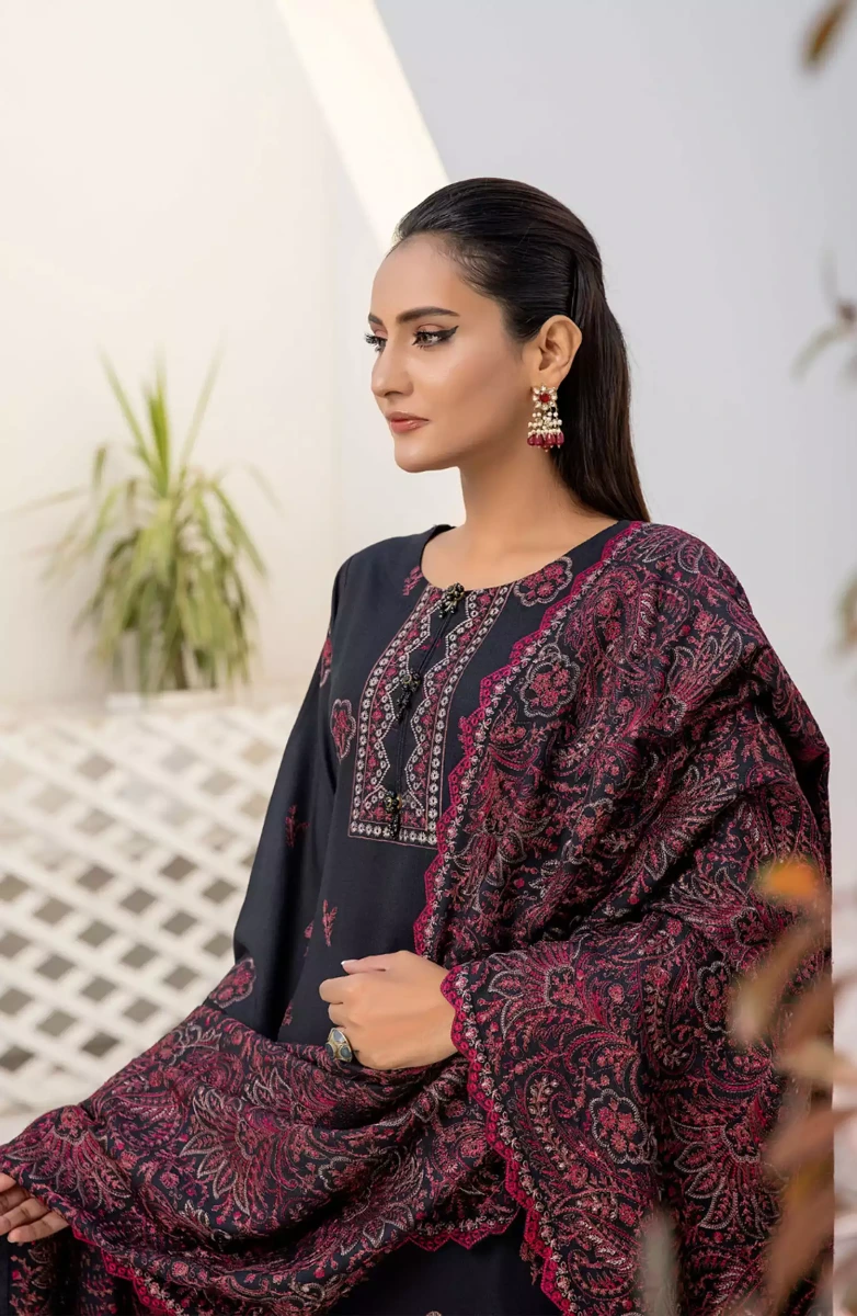 Thread Weaves Dhanak Embroidered Collection - D 23105