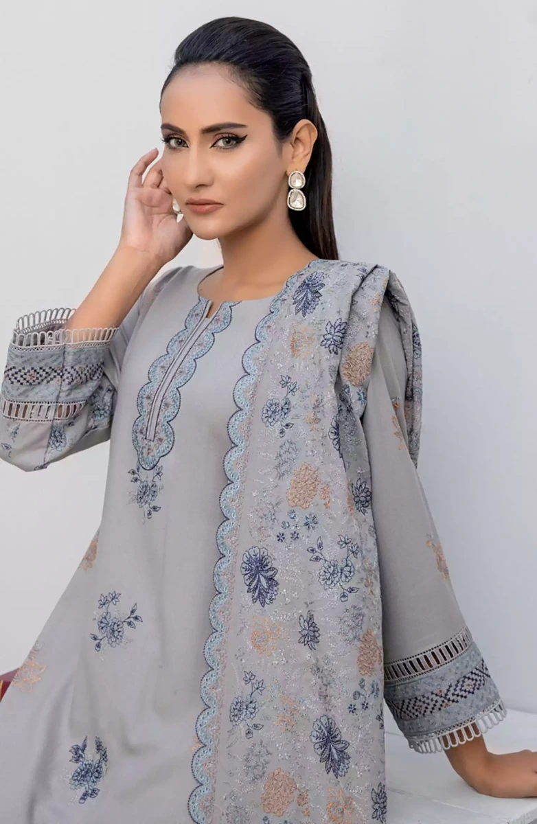 Thread Weaves Dhanak Embroidered Collection - D 23107