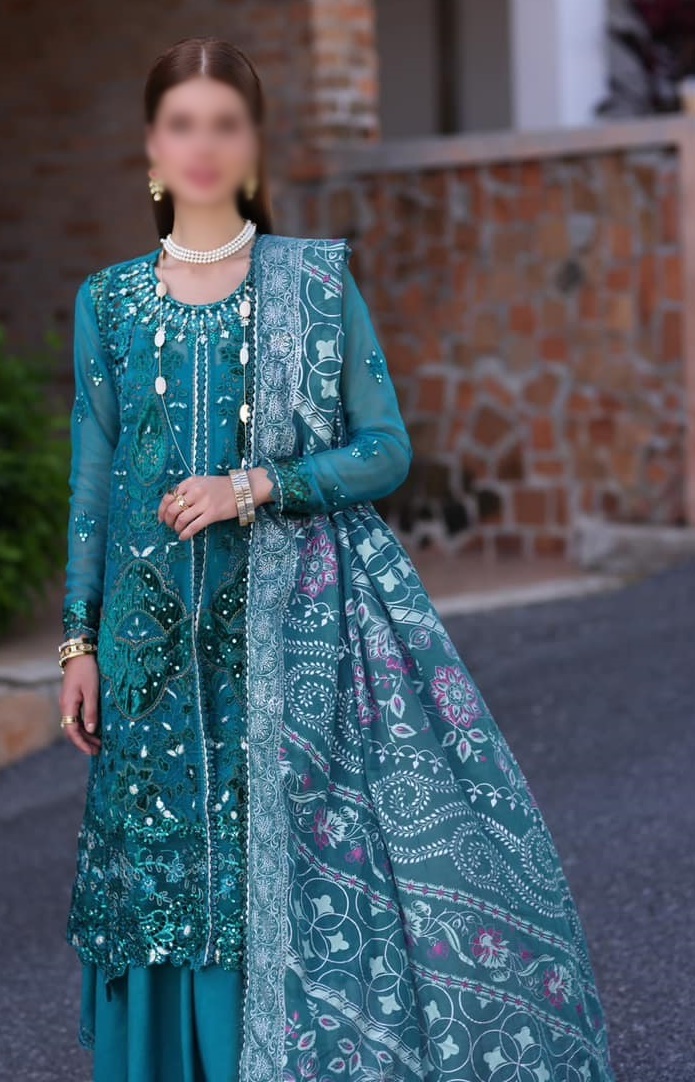 Noor Chiffon Handwork Schiffli Laserkari 2023 - D 08 Zarish