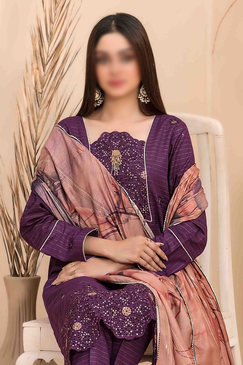 ZYVA Daman Embroidered Zari Khaddar Printed Diamond Shawl Collection 2023 - D 1028