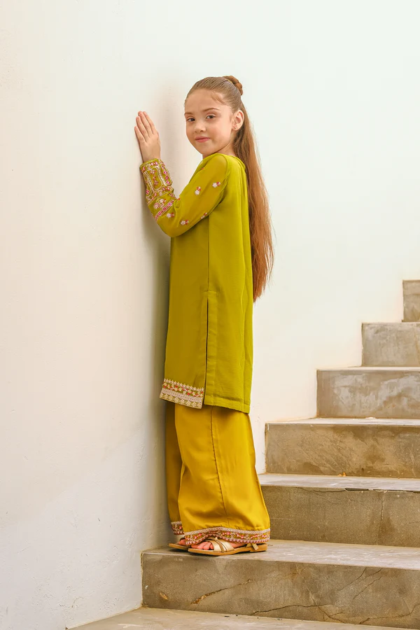 Anaya - 2ps Embroidered