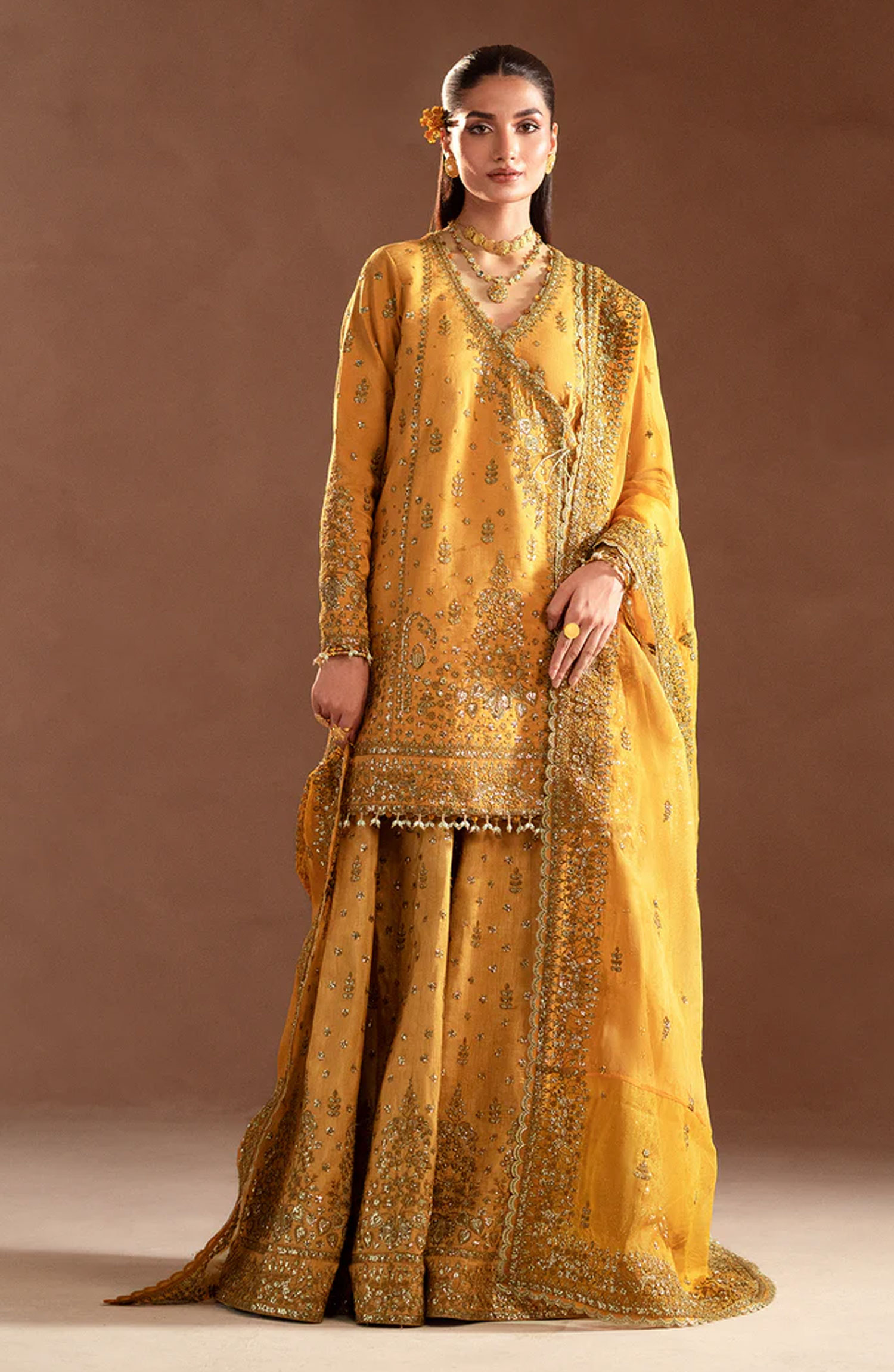 Emaan Adeel Selene Unstitched Raw Silk Collection - Veloria