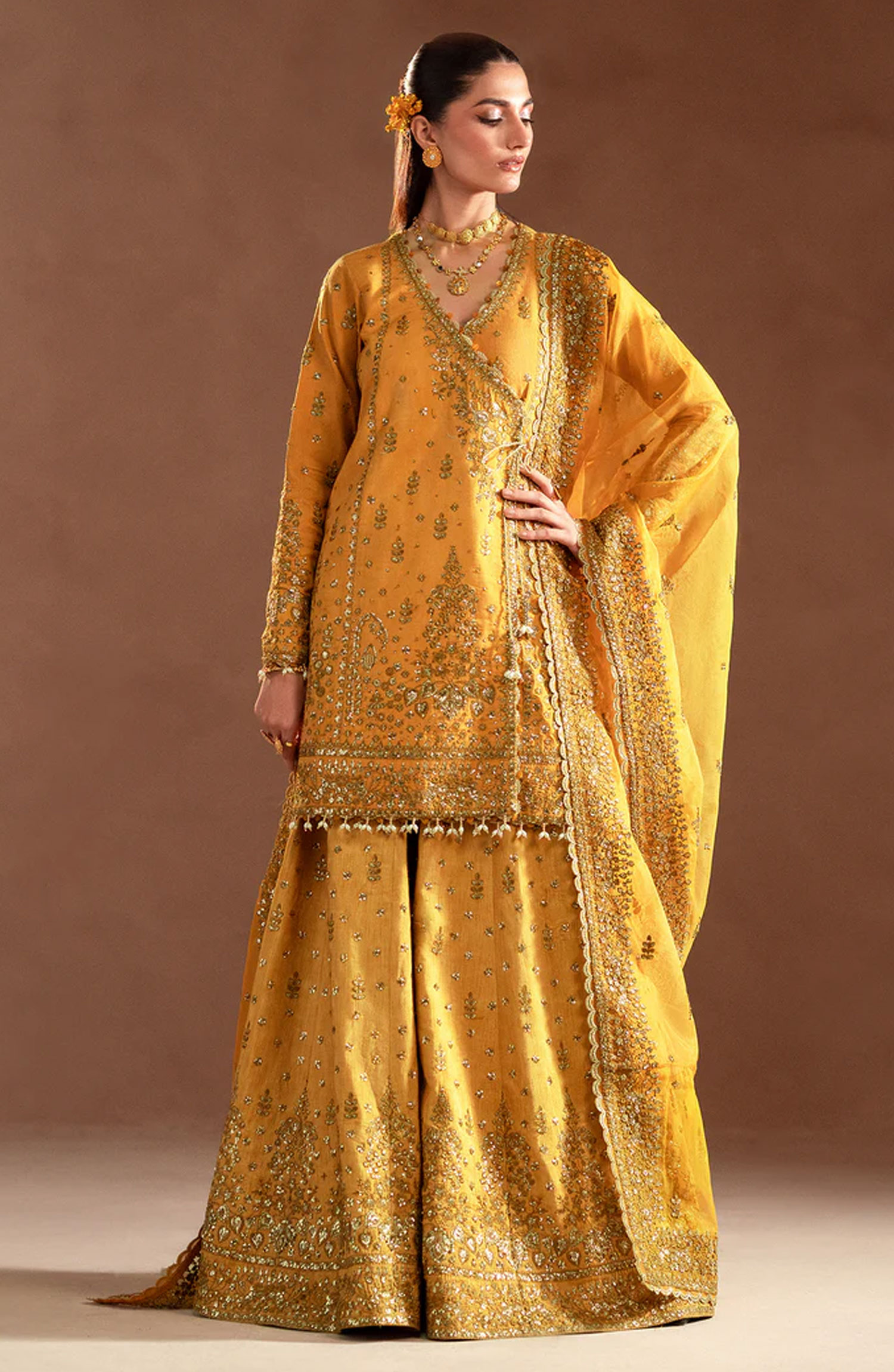 Emaan Adeel Selene Unstitched Raw Silk Collection - Veloria