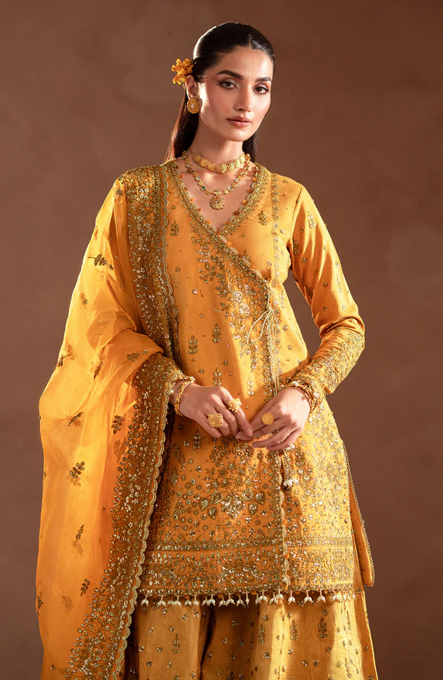 Emaan Adeel Selene Unstitched Raw Silk Collection - Veloria